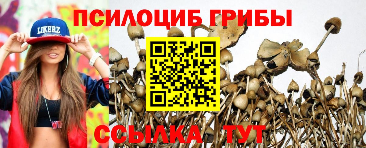 Галлюциногенные грибы Cubensis  купить  сайты  Ялуторовск  Вход с VPN  Псилоцибиновые грибы MAGIC MUSHROOMS 